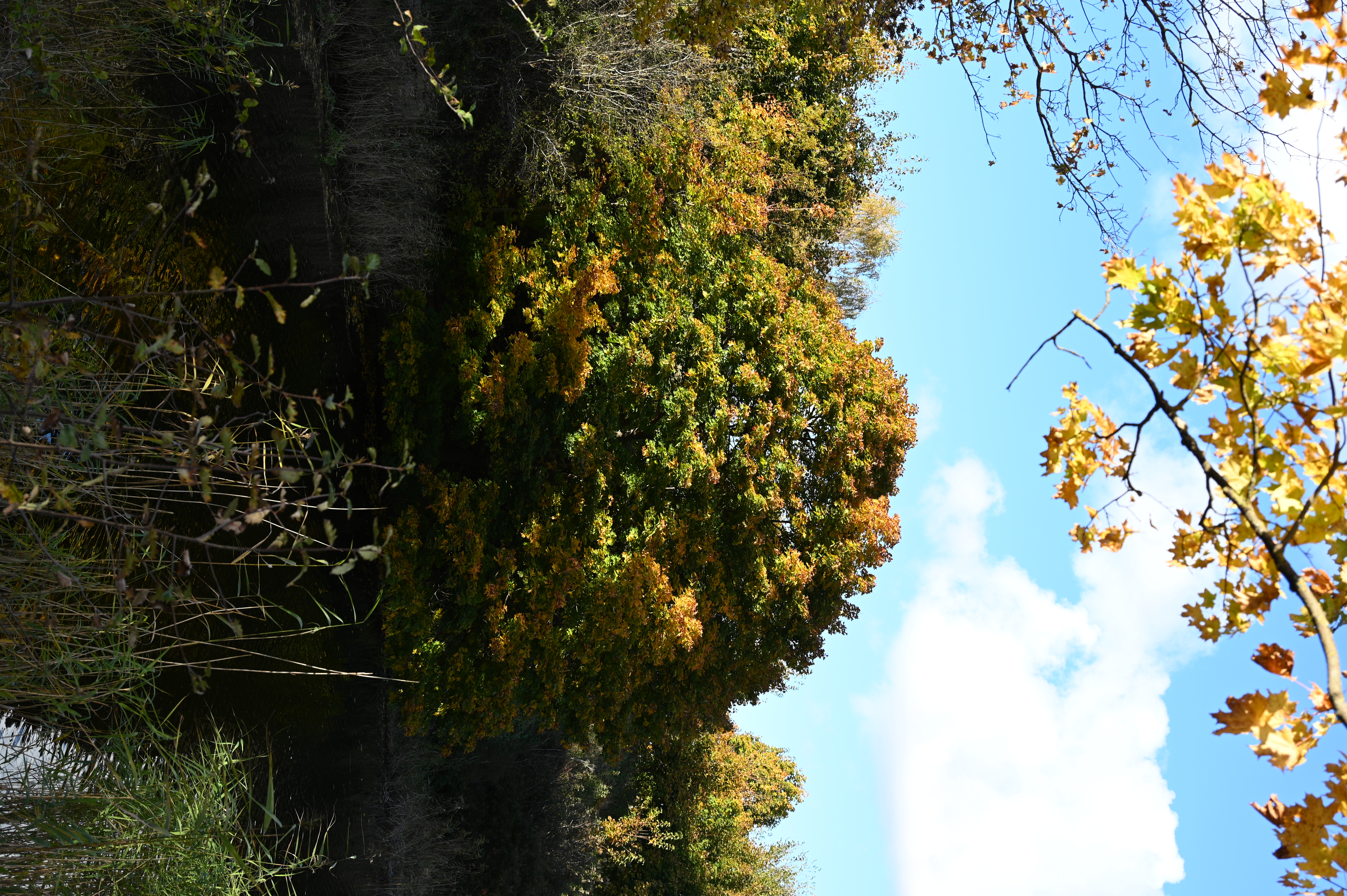 2025/10/18 - walk/DSC_0126.JPG